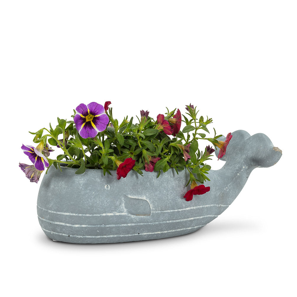 Whale Low Planter